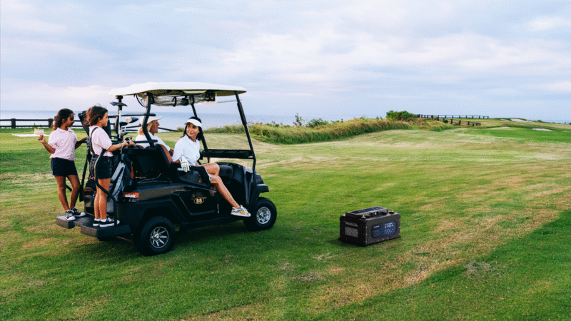 48v golf car battery lifepo4 51.2v.